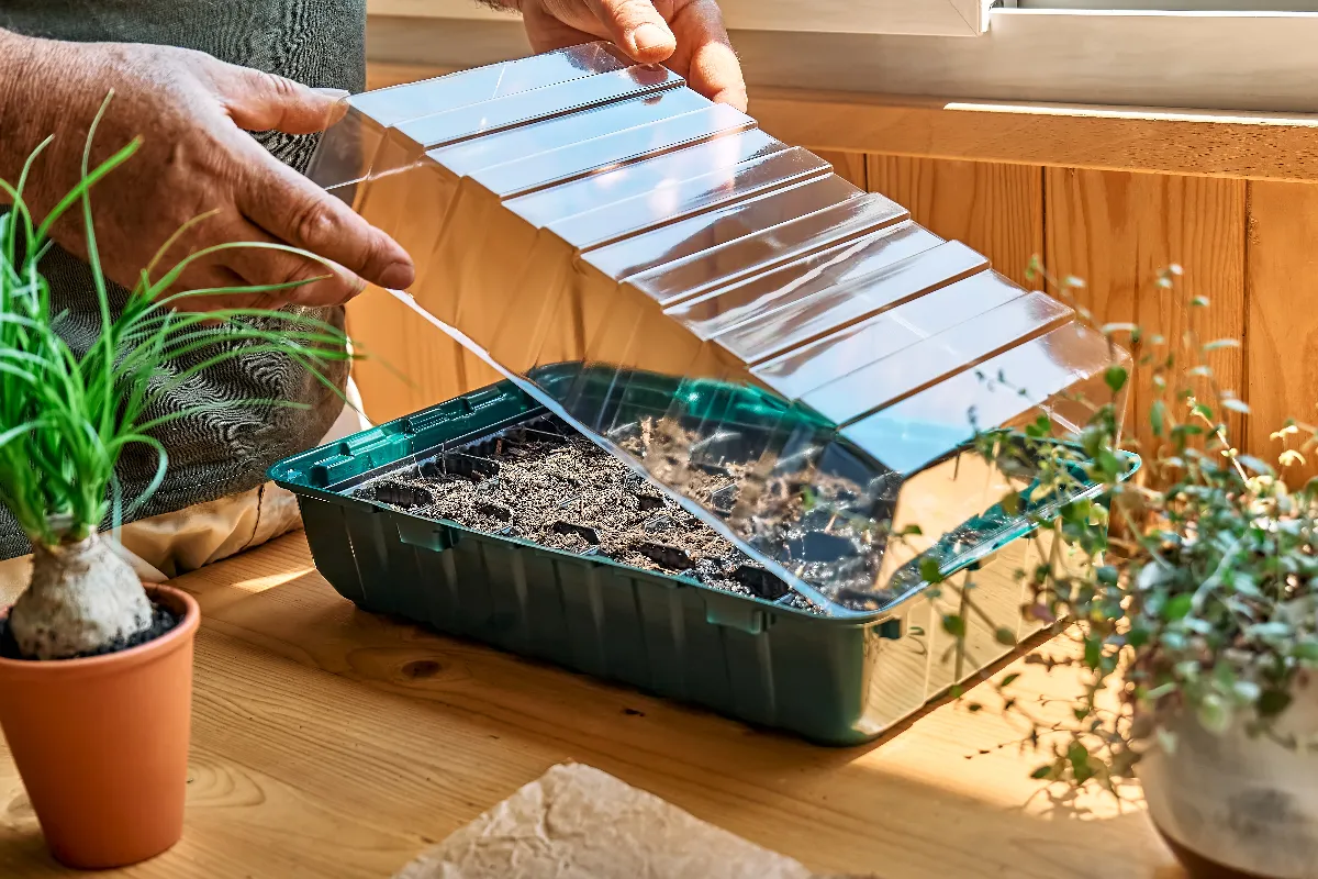 fabriquez-une-mini-serre-facilement-pour-votre-potager-en-4-etapes