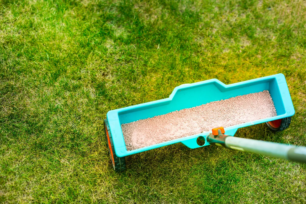 fertiliser-son-gazon-au-printemps-avec-de-lengrais-est-ce-necessaire-voici-la-reponse