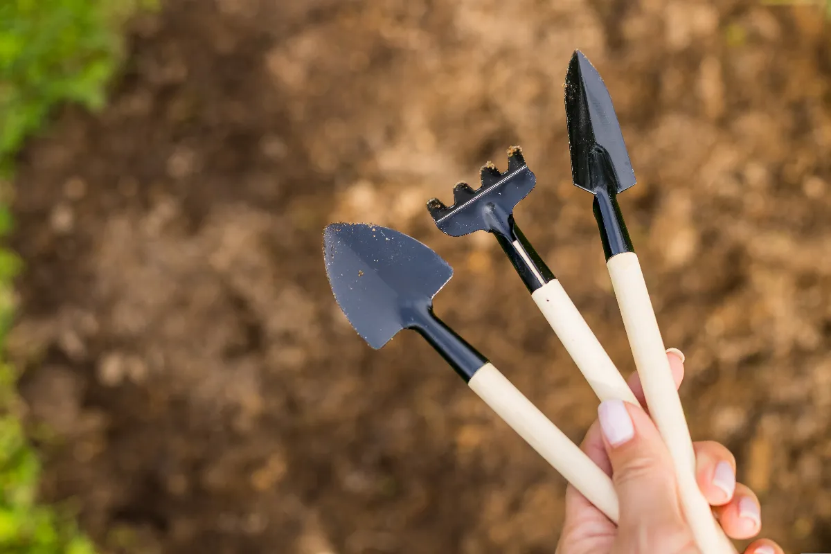 le-printemps-arrive-a-grands-pas-etes-vous-vraiment-pret-pour-la-floraison-de-vos-plantes