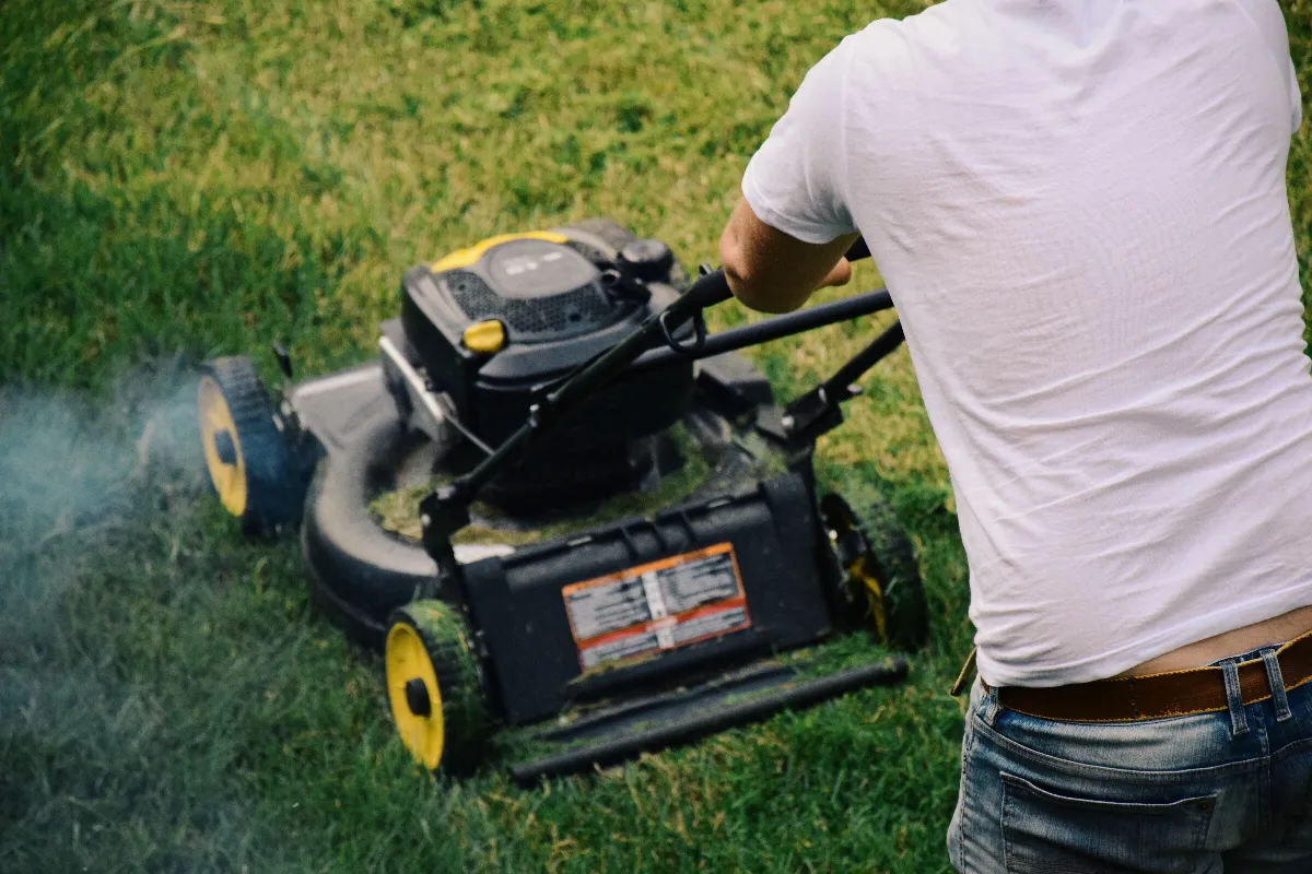 tondre-des-le-mois-de-mars-est-ce-vraiment-une-bonne-idee-decouvrez-les-avantages-de-retarder-la-premiere-tonte