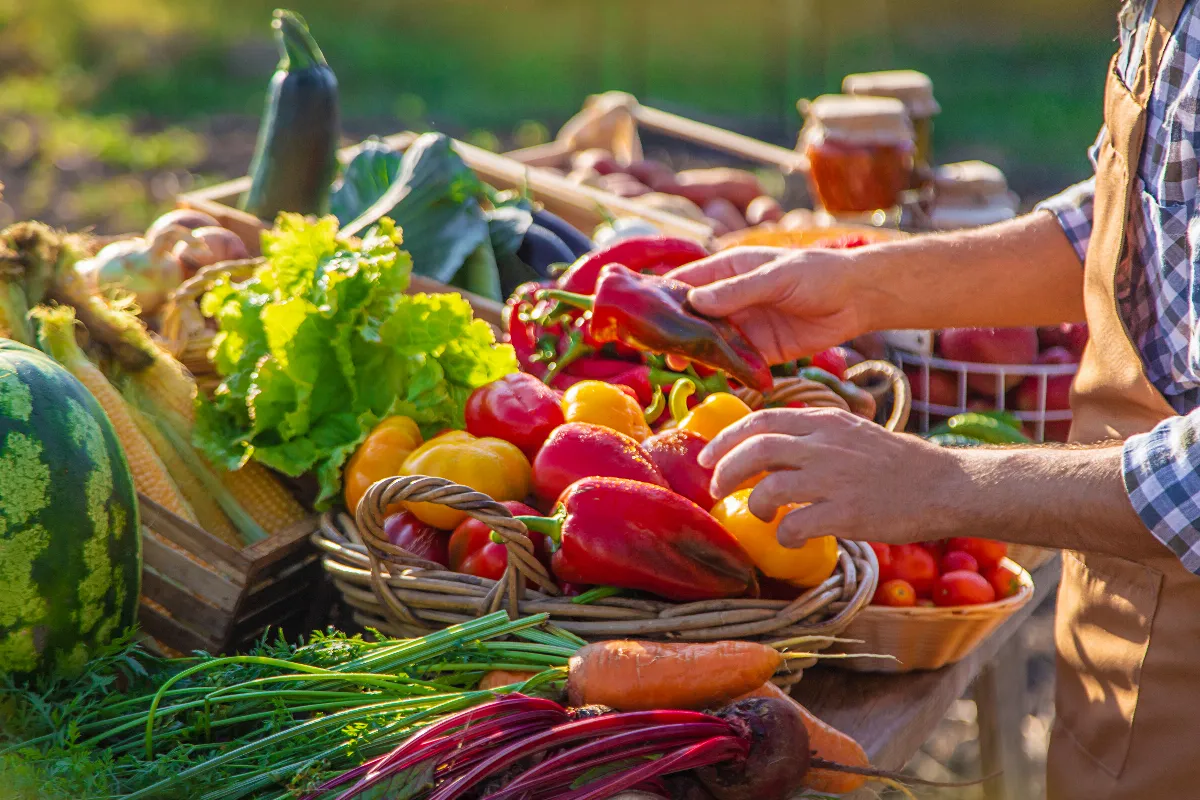 vendre-les-fruits-et-legumes-cultives-dans-son-jardin-est-ce-legal-voici-les-regles-a-connaitre