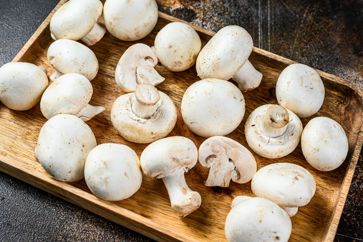 voici-les-4-etapes-a-suivre-pour-faire-facilement-du-compost-de-champignons