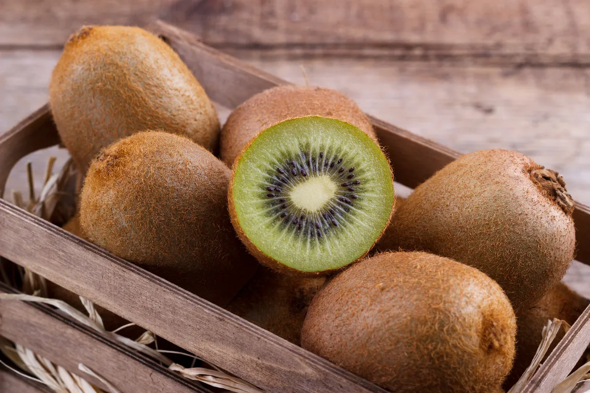 voici-les-5-etapes-pour-faire-pousser-un-kiwi-simplement-avec-des-graines