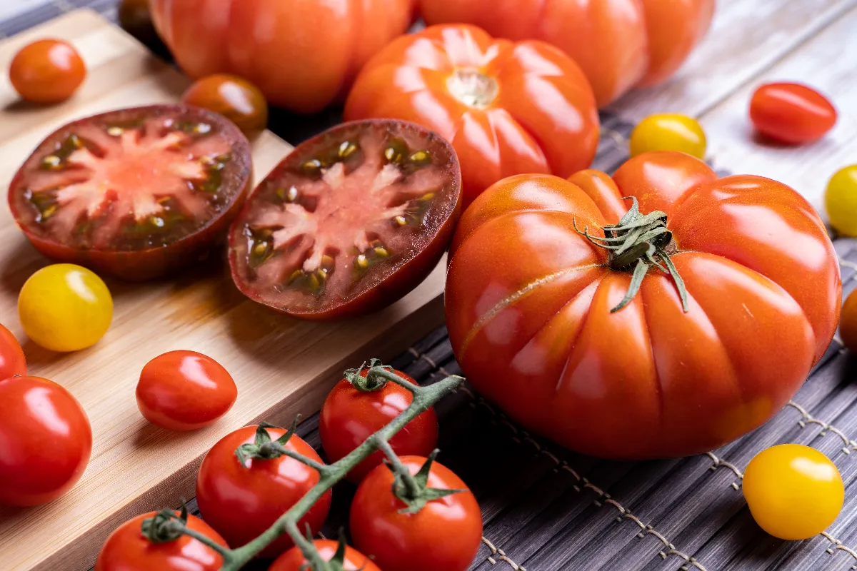 5-criteres-pour-bien-choisir-vos-tomates-quelle-variete-planter-dans-votre-jardin