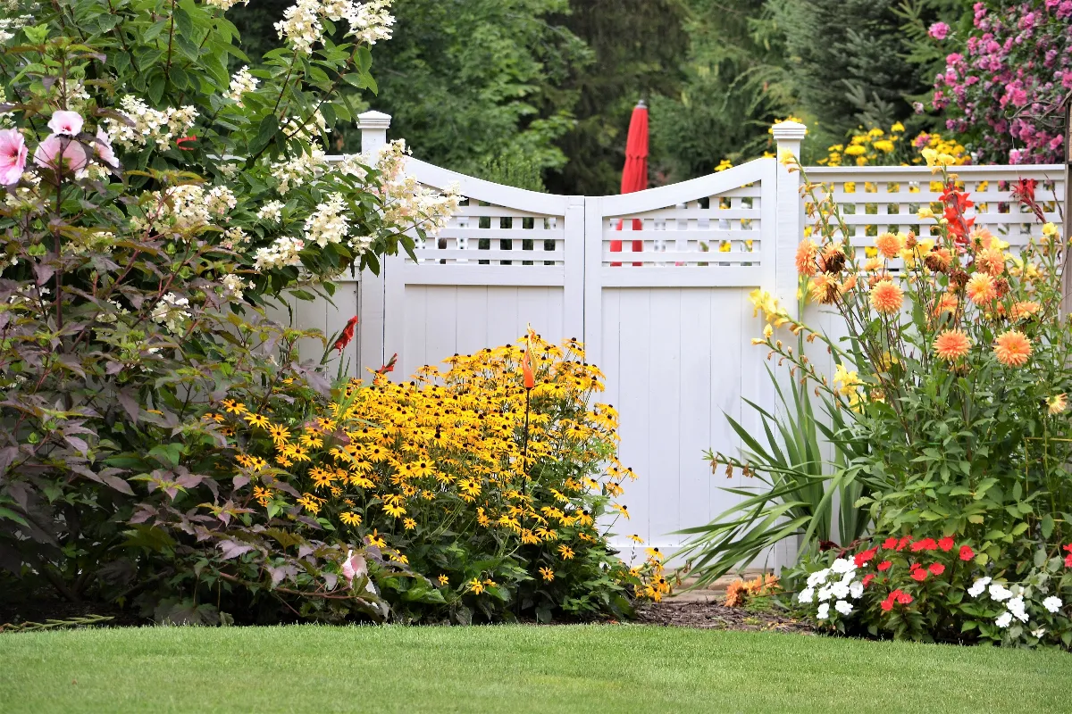 5-solutions-pour-se-proteger-du-vis-a-vis-dans-votre-jardin-profitez-dune-tranquillite-chez-vous