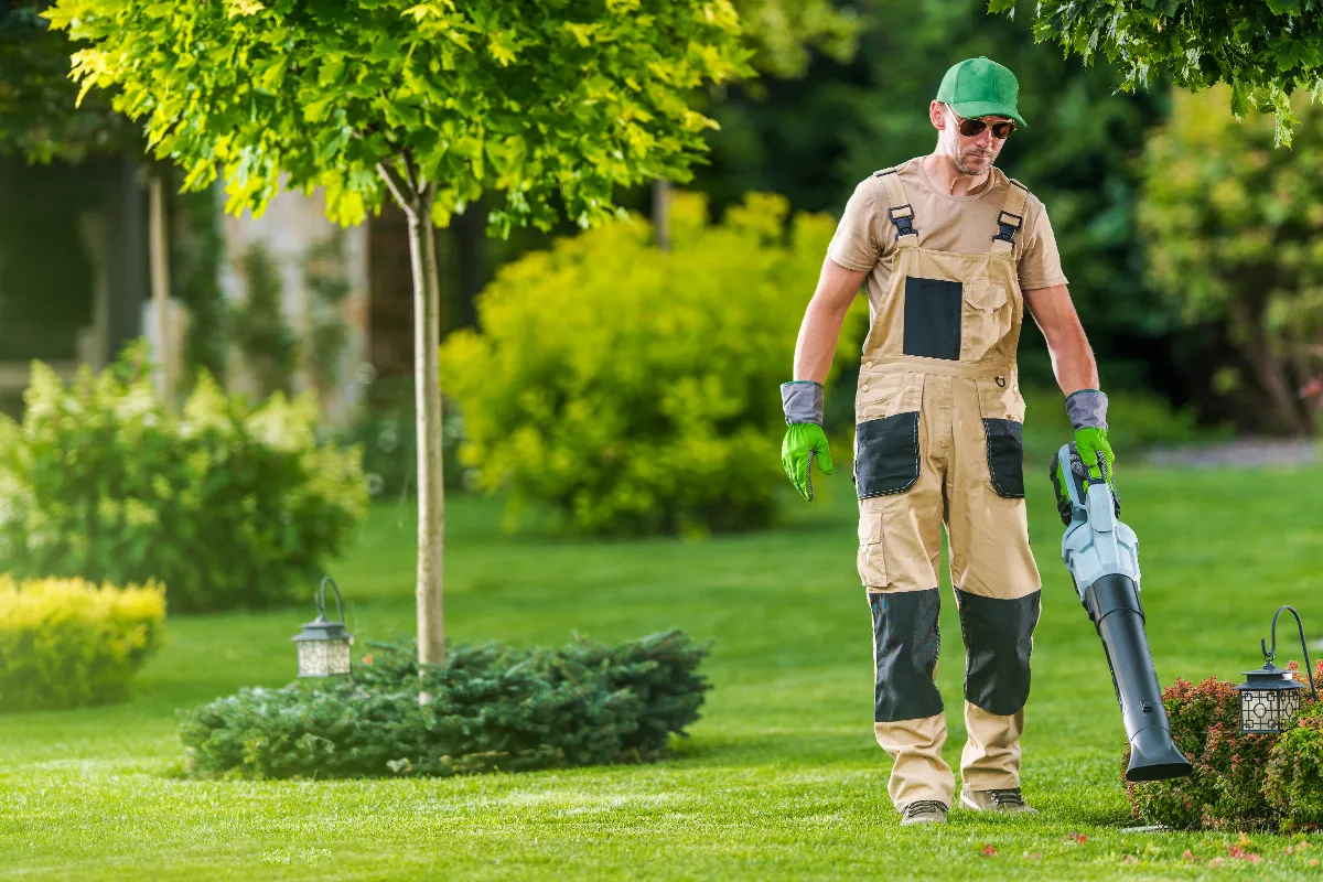 combien-coute-un-jardinier-a-domicile-voici-les-tarifs-moyens-du-marche