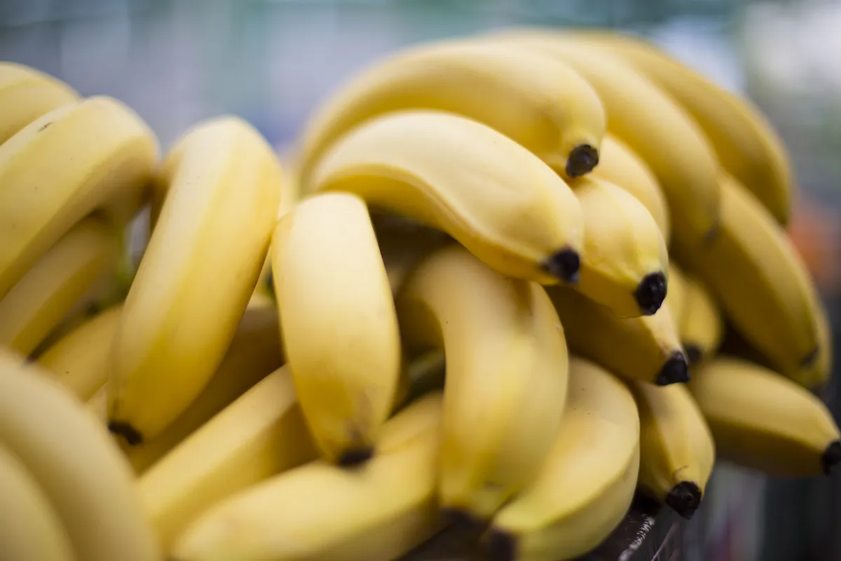 enterrez-5-bananes-dans-votre-jardin-des-maintenant-decouvrez-les-avantages-de-cette-astuce-incroyable