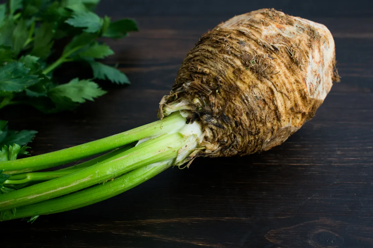 faire-pousser-du-celeri-simplement-a-partir-dune-souche-voici-comment-reussir-facilement
