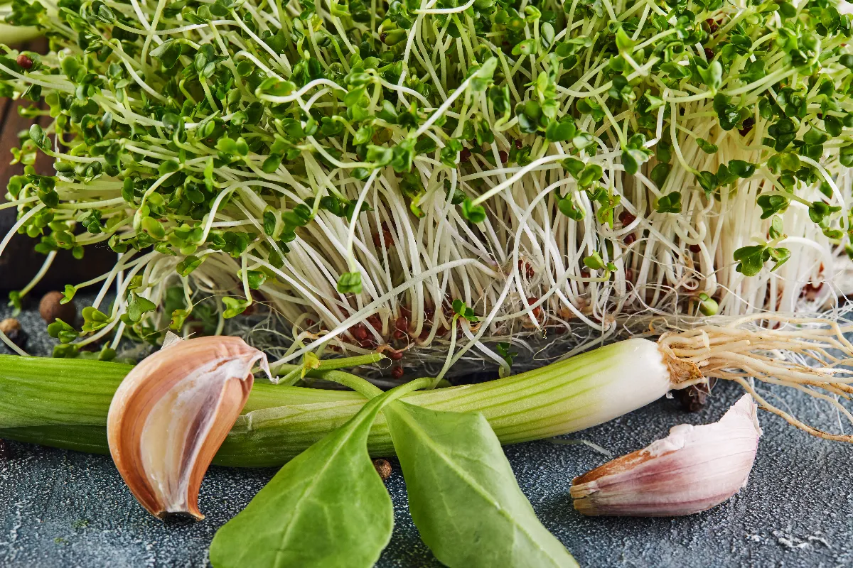 les-legumes-perpetuels-voici-les-3-especes-que-vous-pouvez-recolter-a-linfini