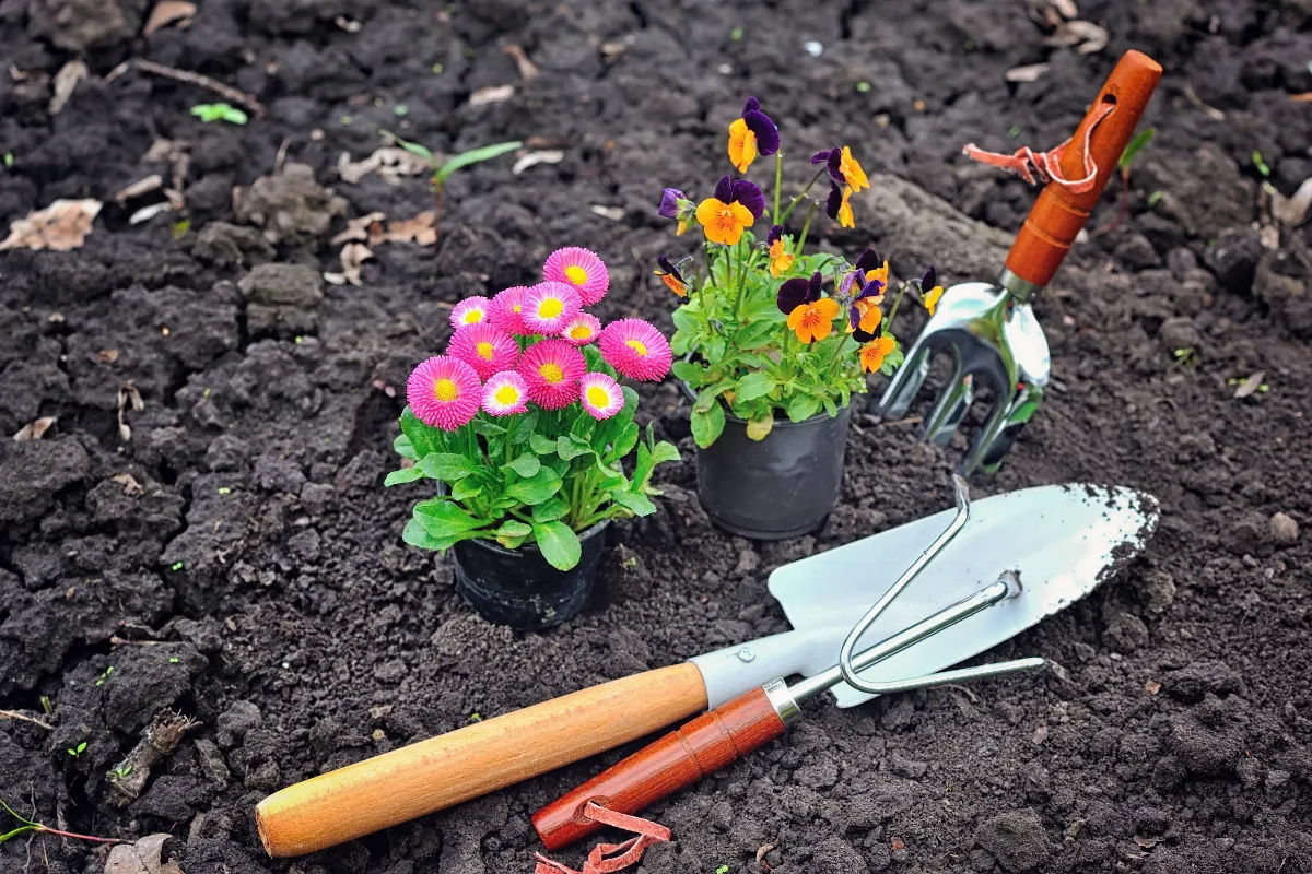 outils-de-jardinage-rouilles-apres-lhiver-voici-comment-faire-pour-leur-redonner-tout-leur-eclat