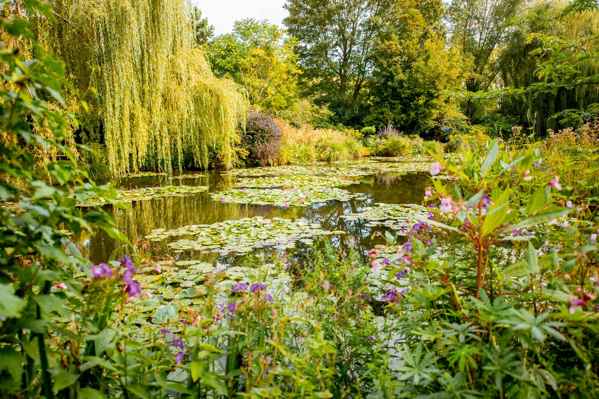 quel-est-ce-jardin-proche-de-paris-qui-vient-detre-elu-2eme-plus-beau-panorama-fleuri-du-monde