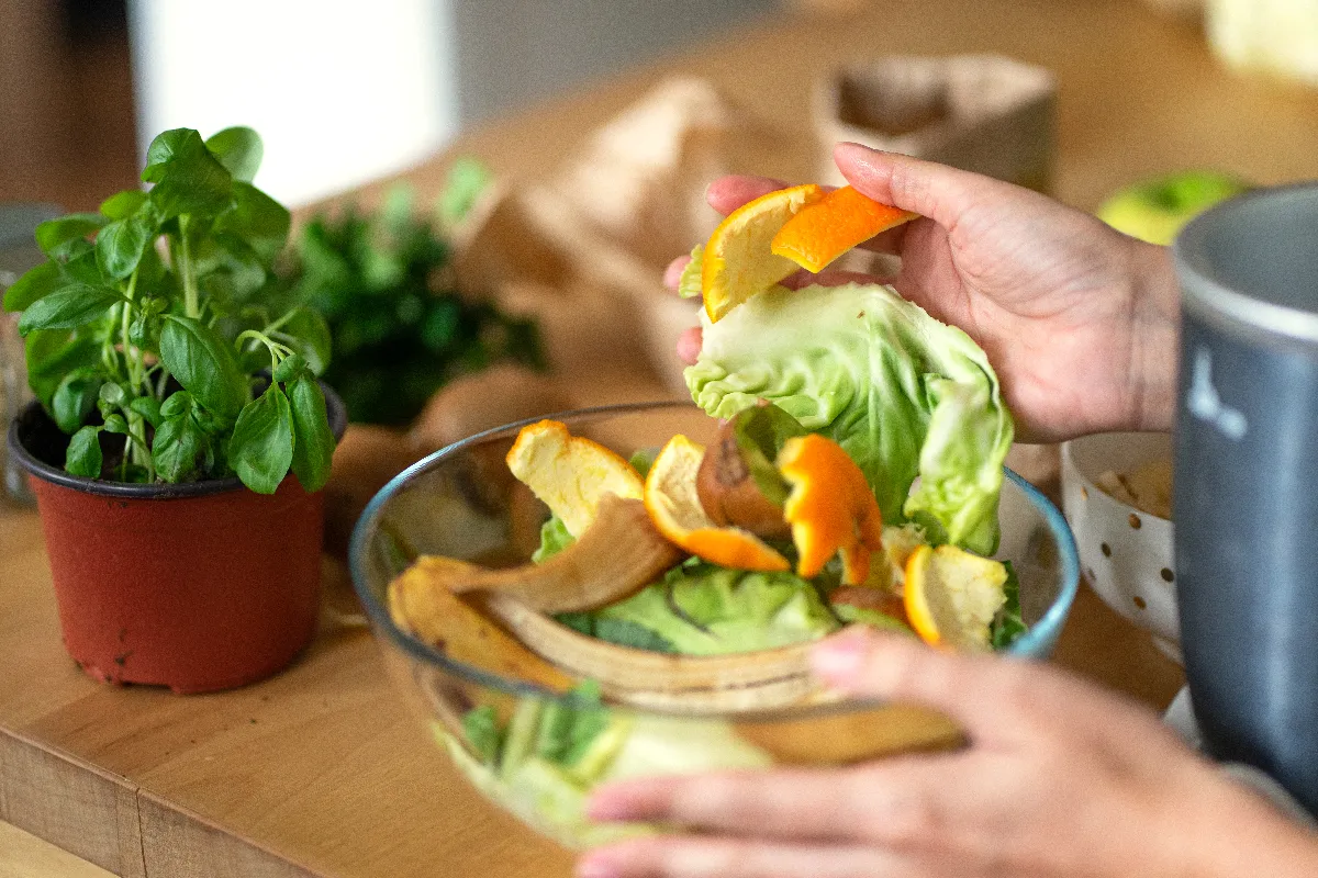 quelles-sont-les-normes-de-compostage-en-2024-etes-vous-en-regle