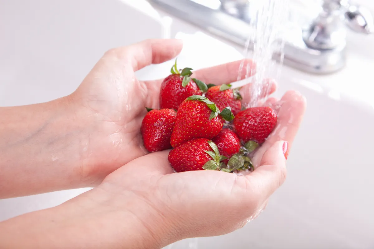 voici-la-methode-ultime-pour-bien-nettoyer-vos-fraises-decouvrez-comment-les-conserverez-plus-longtemps