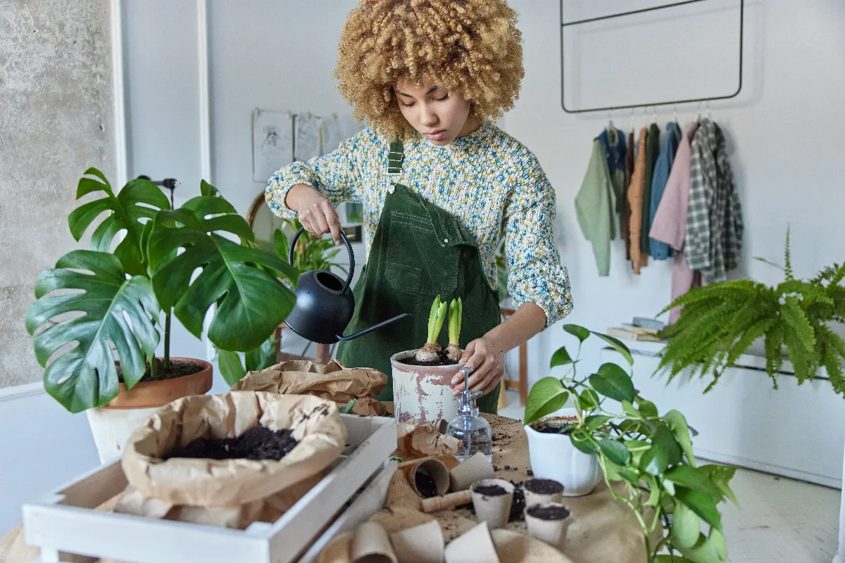 vous-avez-de-la-moisissure-qui-apparait-sur-vos-plantes-dinterieur-voici-les-bons-gestes-a-adopter