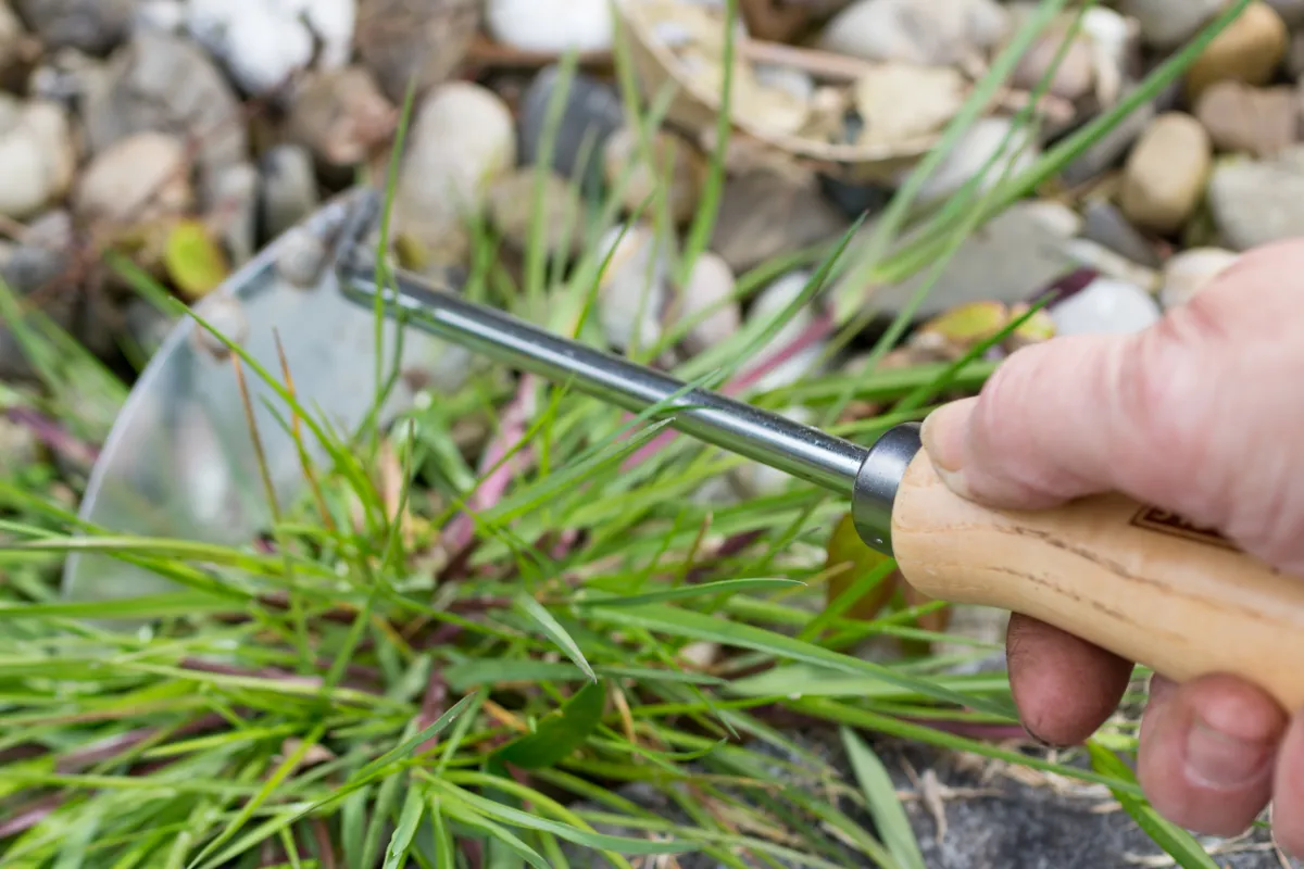 5-astuces-infaillibles-pour-eradiquer-efficacement-les-mauvaises-herbes-dans-votre-gravier