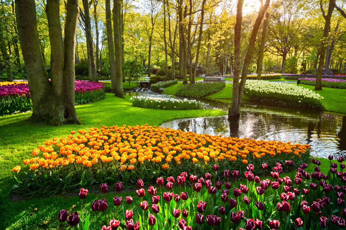 avec-ces-800-especes-de-tulipes-ce-jardin-est-lun-des-plus-beaux-du-monde-voici-ou-il-se-trouve