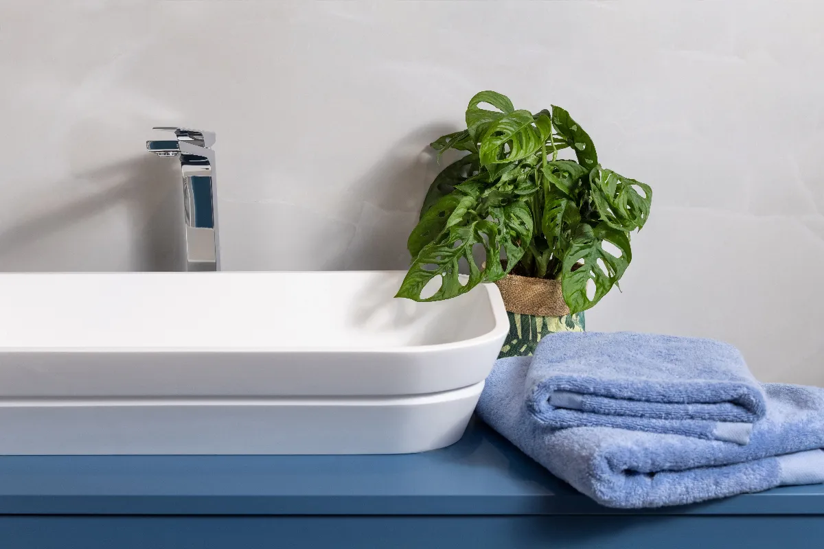 ces-9-plantes-sont-ideales-pour-une-salle-de-bains-sans-fenetre-voici-comment-bien-les-entretenir