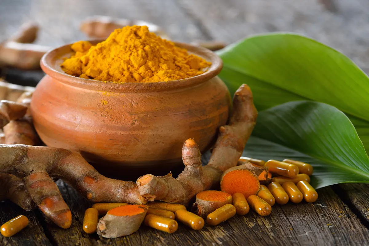 connaissez-vous-les-bienfaits-du-curcuma-sur-vos-plantes-decouvrez-ces-avantages