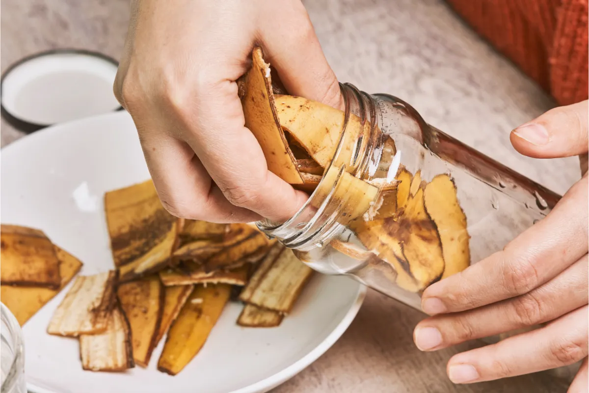 les-peaux-de-banane-peuvent-elles-etre-utilisees-comme-engrais-pour-vos-plantes-voici-quels-sont-les-avantages