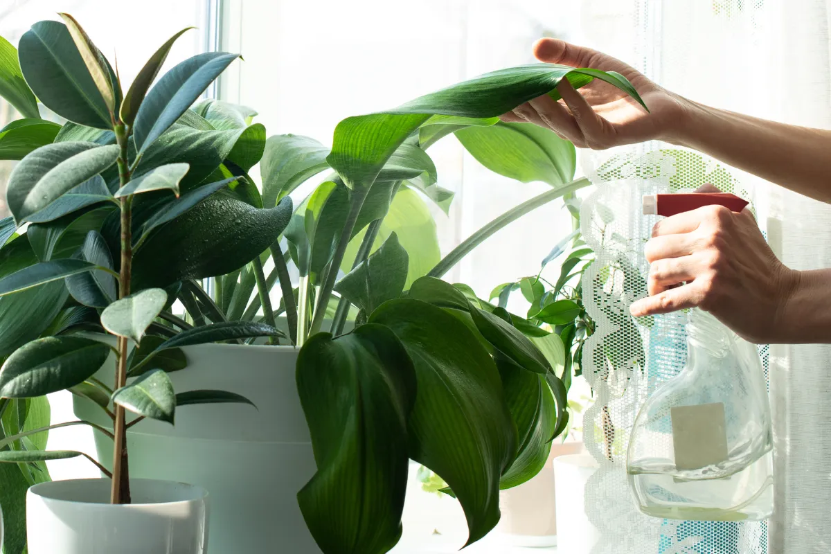 quelles-plantes-peuvent-etre-devant-une-baie-vitree-voici-les-3-especes-les-plus-resistantes