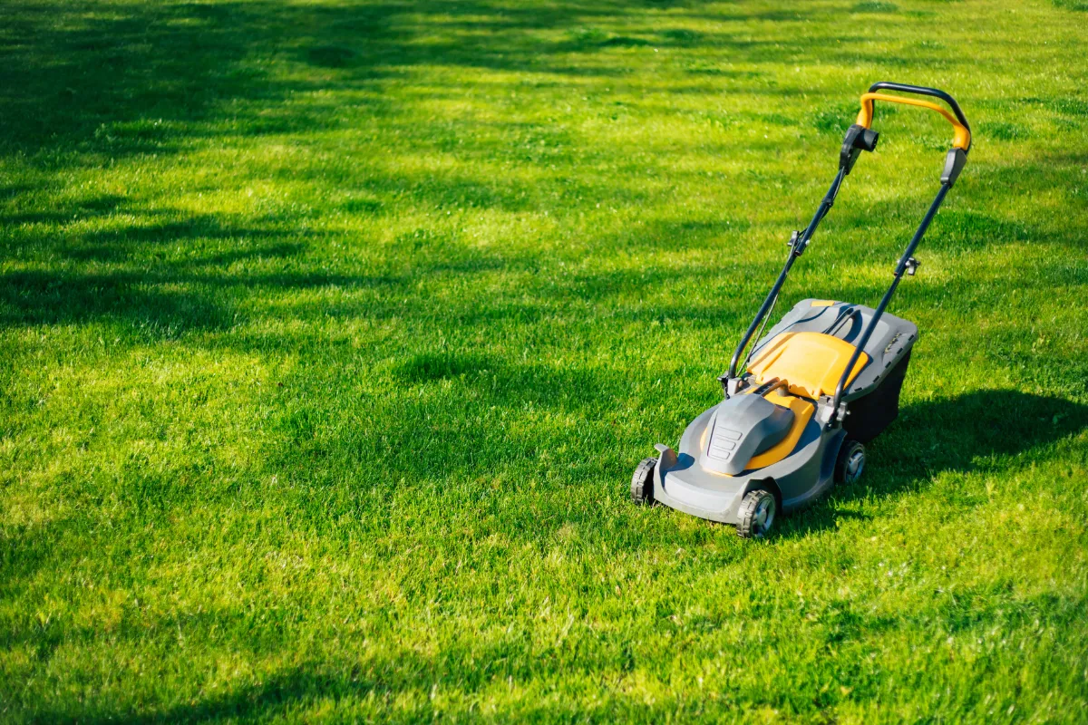 voici-les-3-etapes-a-suivre-absolument-pour-entretenir-votre-tondeuse-cet-ete