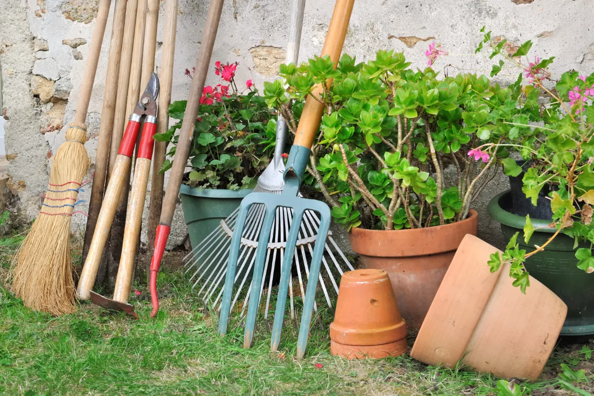 voici-les-7-outils-et-produits-de-jardinage-que-vous-devez-absolument-avoir-chez-vous