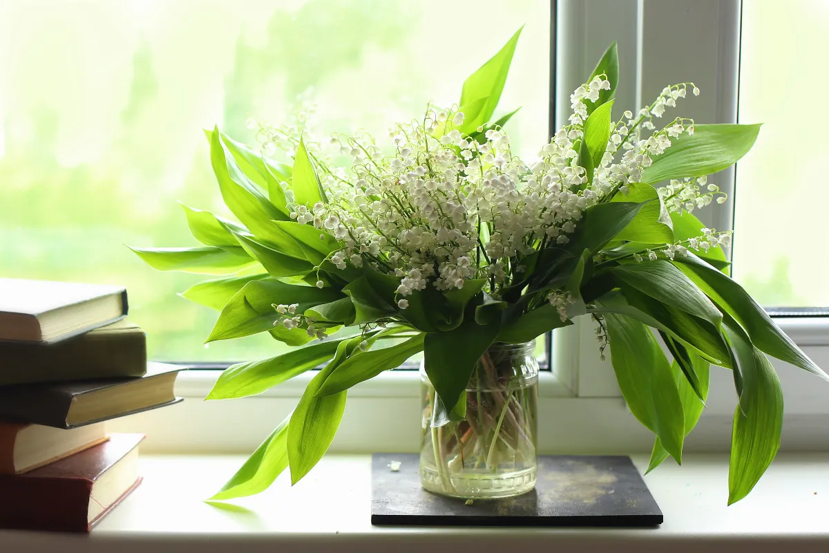 voici-les-astuces-infaillibles-pour-conserver-votre-muguet-frais-le-plus-longtemps-possible