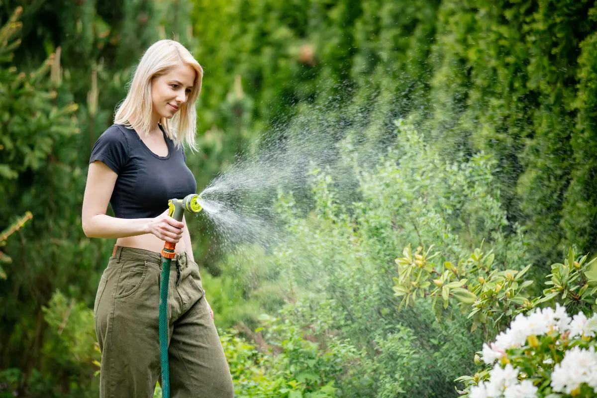 5-plantes-qui-ne-necessitent-pas-darrosage-en-ete-decouvrez-ces-varietes-resistantes