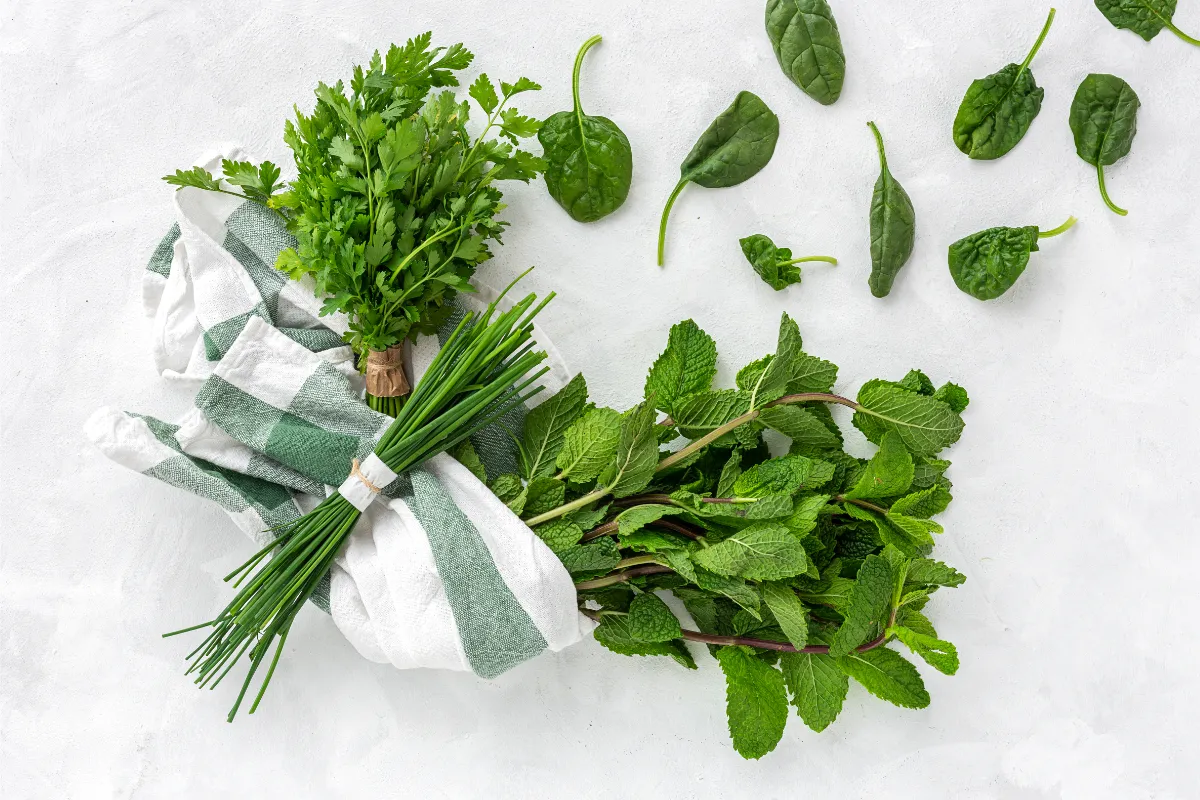 bien-congeler-ses-herbes-aromatiques-voici-les-regles-a-suivre-absolument