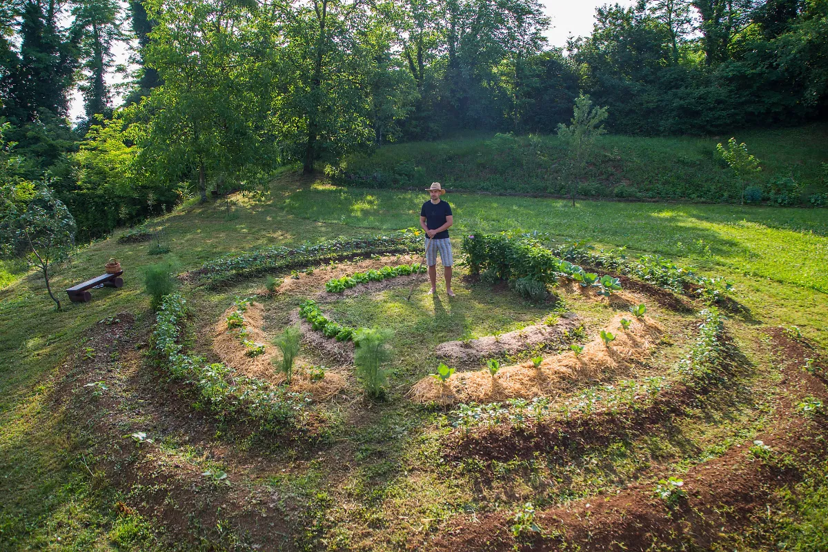 demarrer-un-potager-en-permaculture-voici-les-5-etapes-essentielles-pour-reussir