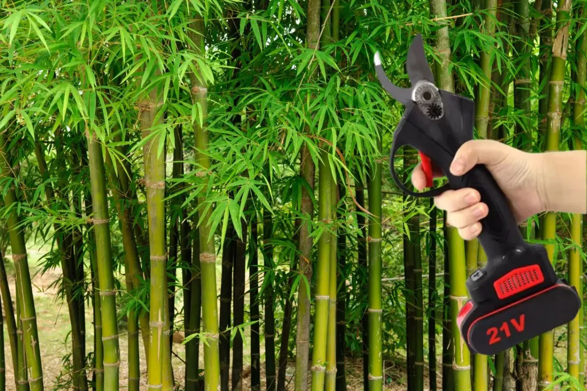 sécateur électrique ali express