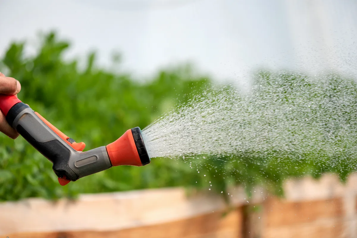 5-techniques-pour-optimiser-larrosage-de-votre-jardin-cet-ete-voici-lesquelles-adopter