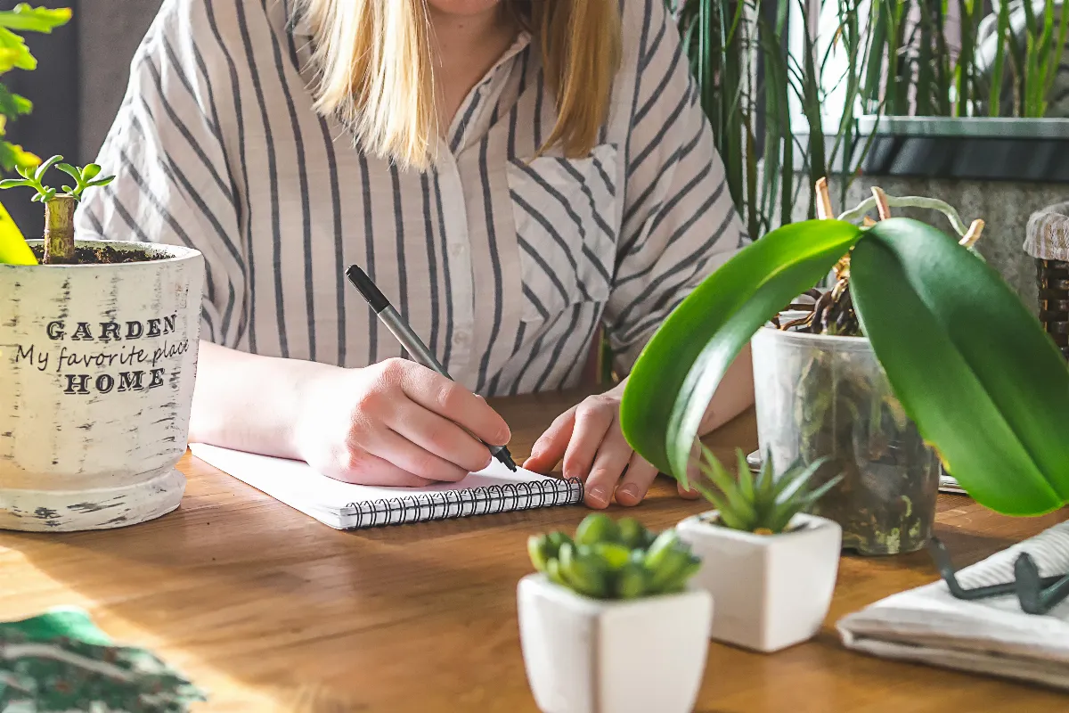 bien-planifier-son-jardin-voici-les-6-erreurs-a-eviter-absolument