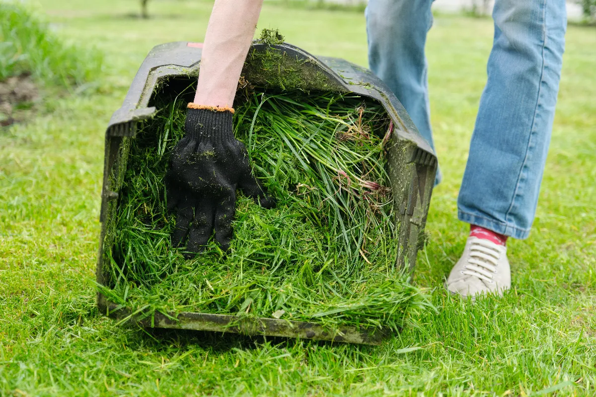 comment-bien-reutiliser-lherbe-coupee-de-votre-jardin-voici-les-bonnes-astuces