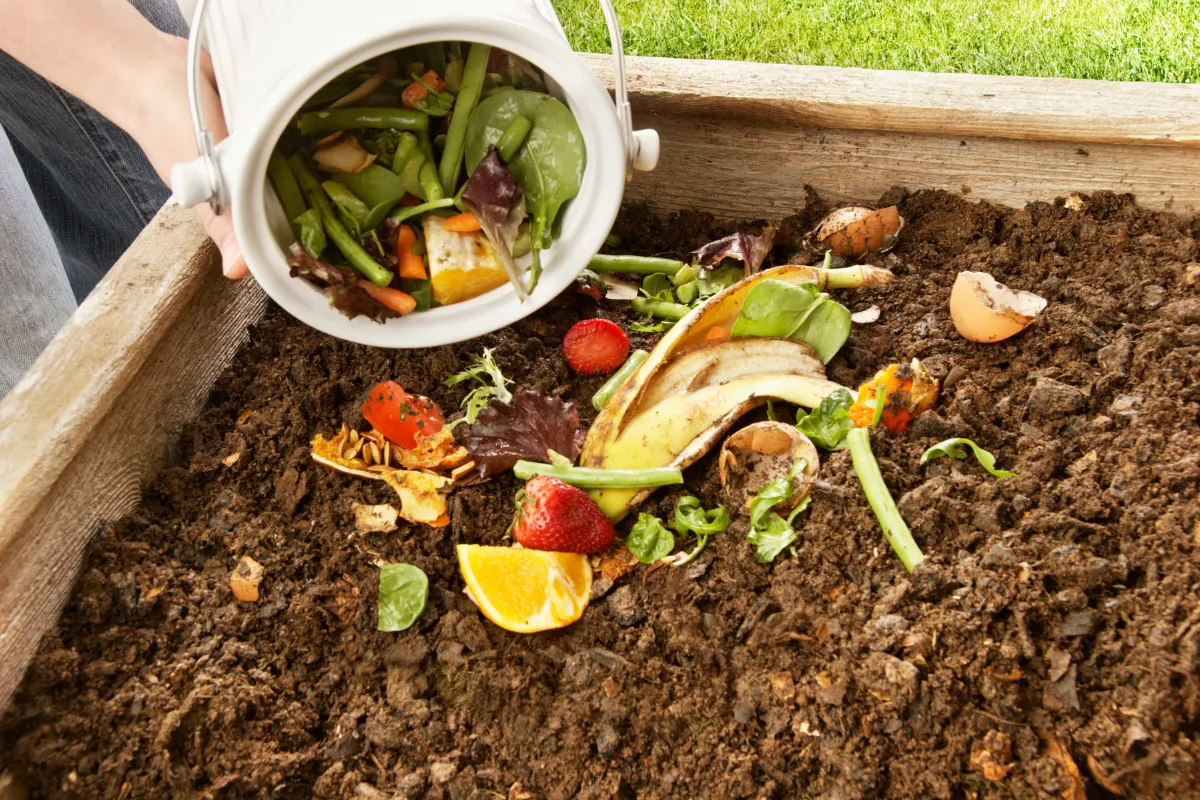 comment-entretenir-son-compost-lete-5-astuces-a-suivre-pour-reussir-son-compostage-malgre-la-chaleur