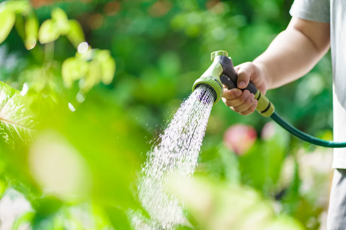 juillet-5-erreurs-a-ne-surtout-pas-faire-dans-votre-jardin-cette-annee