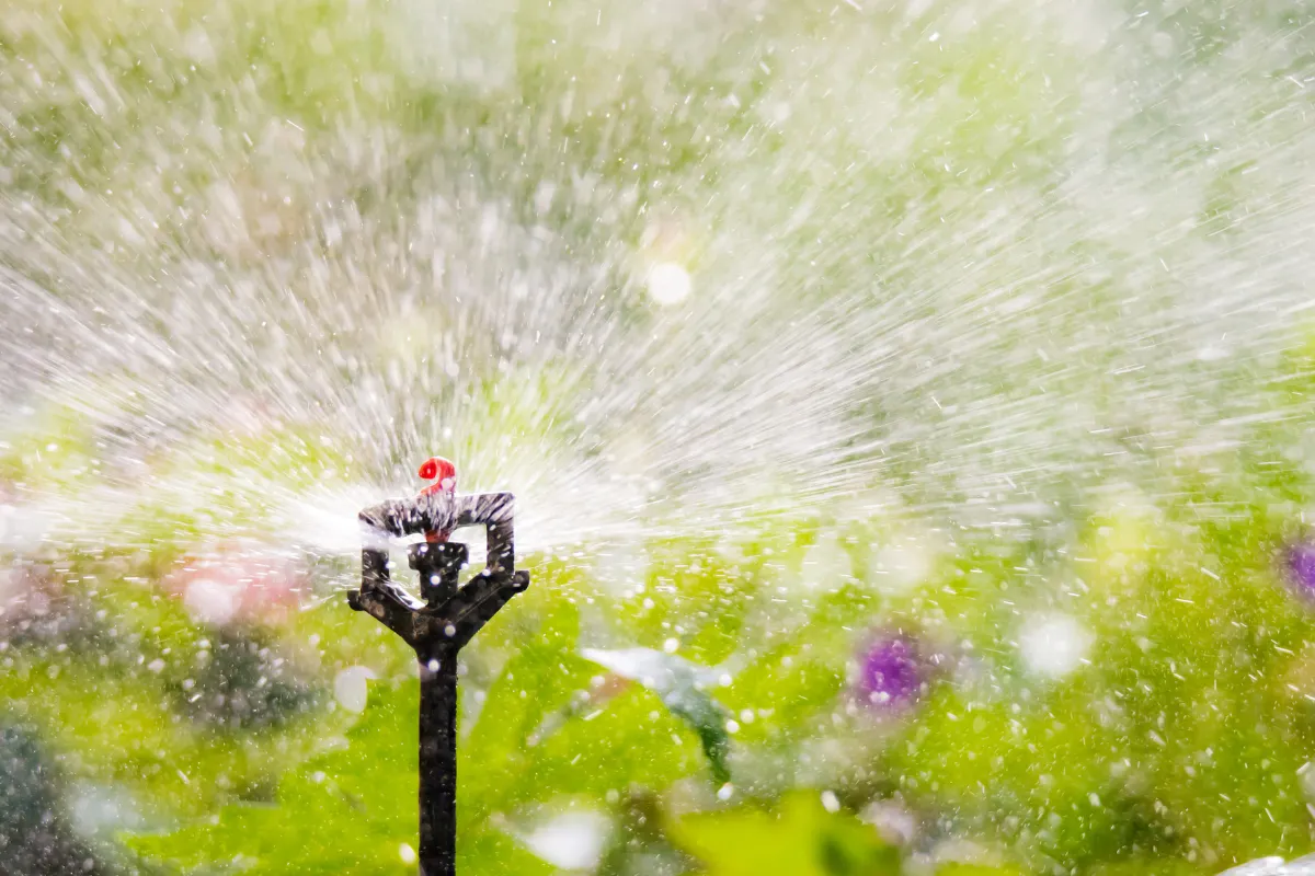 quelle-est-la-meilleure-solution-pour-arroser-votre-potager-pendant-vos-vacances-voici-6-options-efficaces