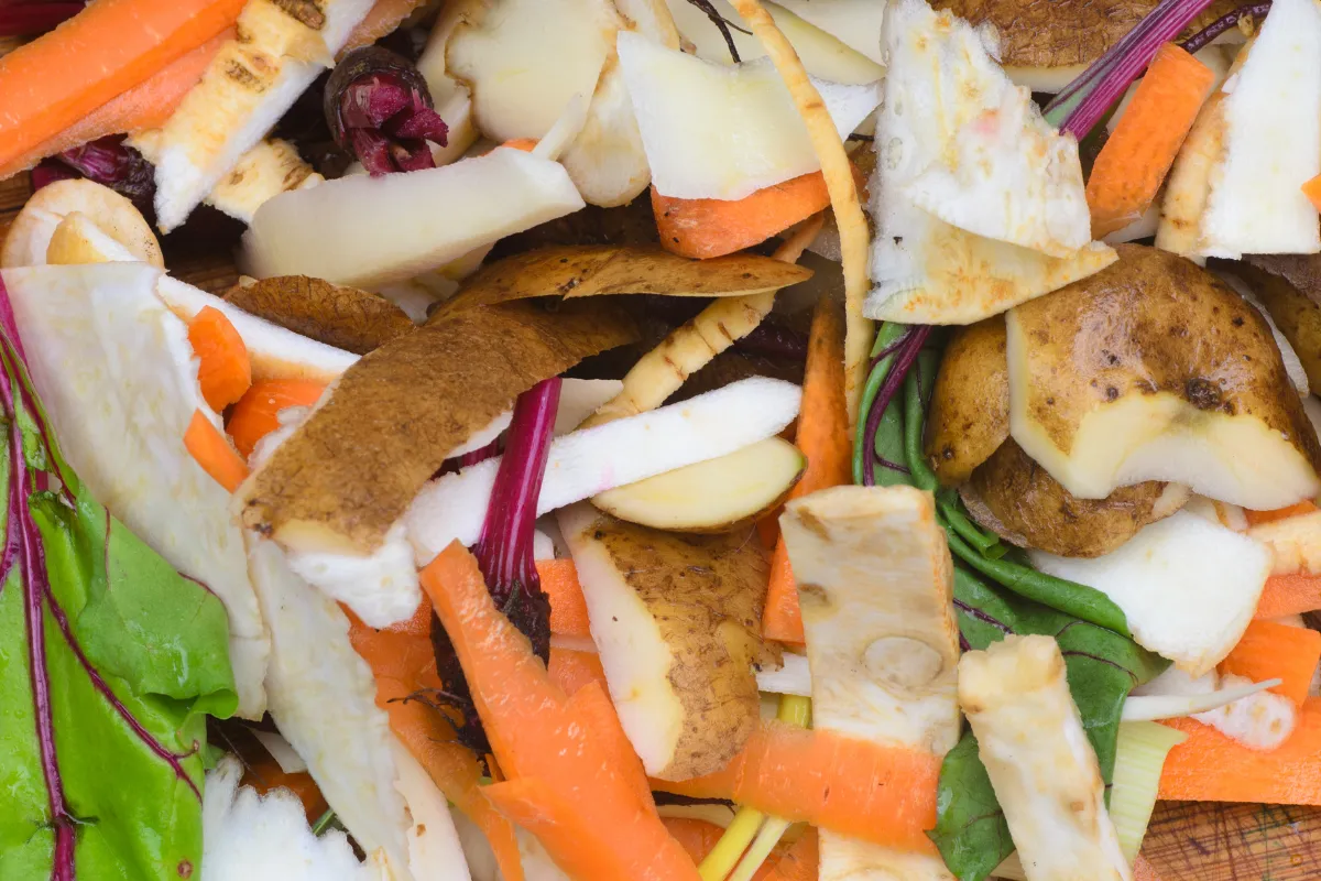 quelles-epluchures-peut-on-donner-aux-poules-voici-ce-que-vous-pouvez-leur-donner