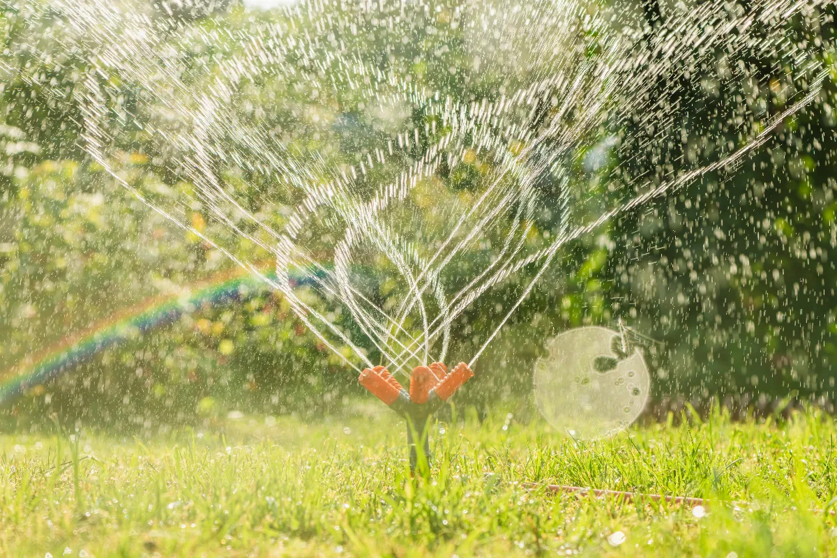 5-astuces-pour-avoir-une-pelouse-bien-verte-cet-ete-malgre-la-chaleur-voici-comment-faire