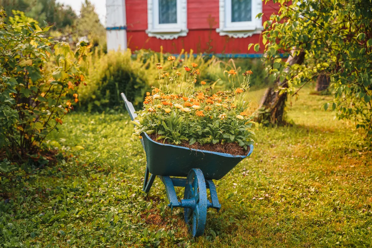 brouette-comment-choisir-la-meilleure-brouette-pour-votre-jardin