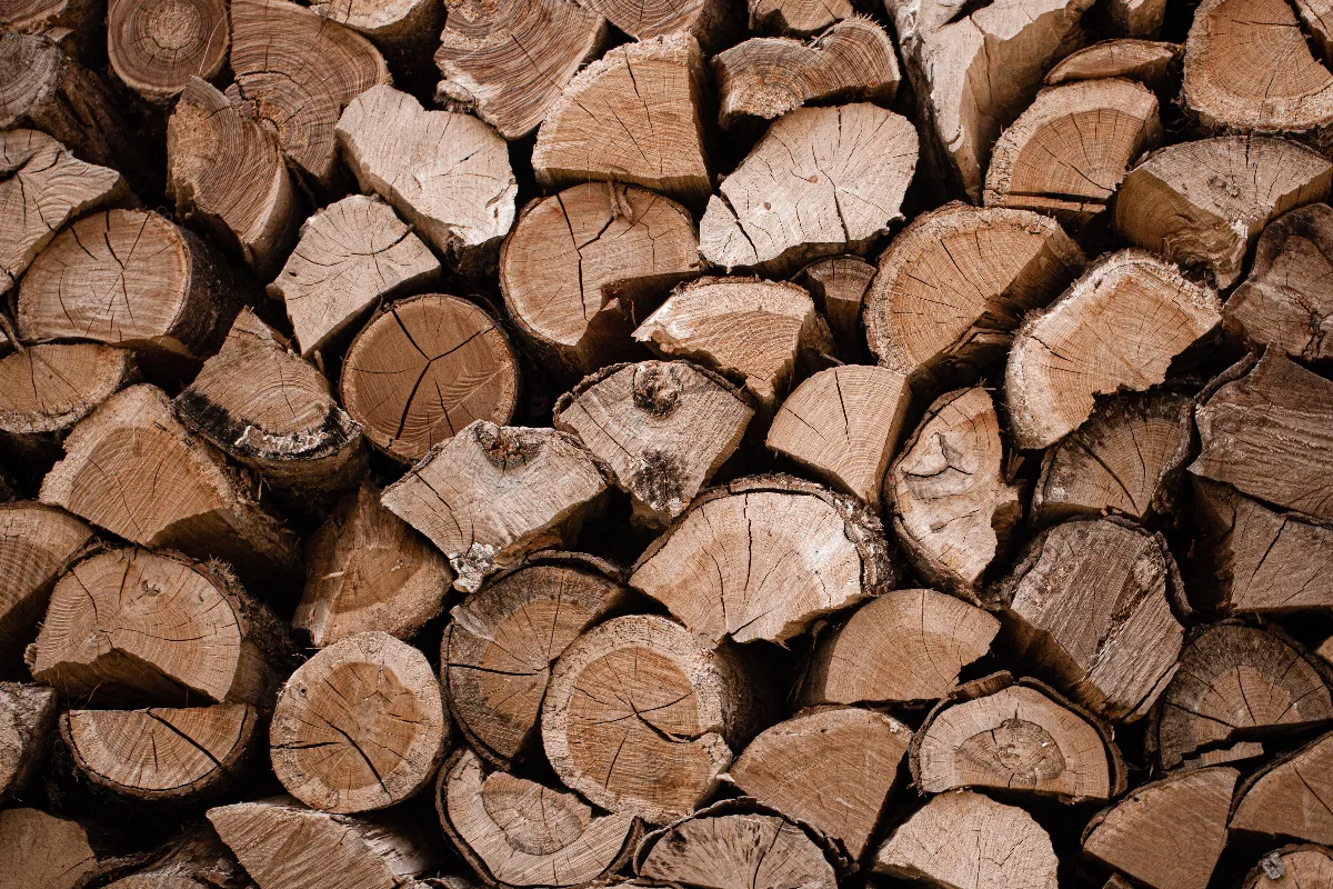 prix-stere-de-bois-comment-calculer-le-prix-du-stere-de-bois