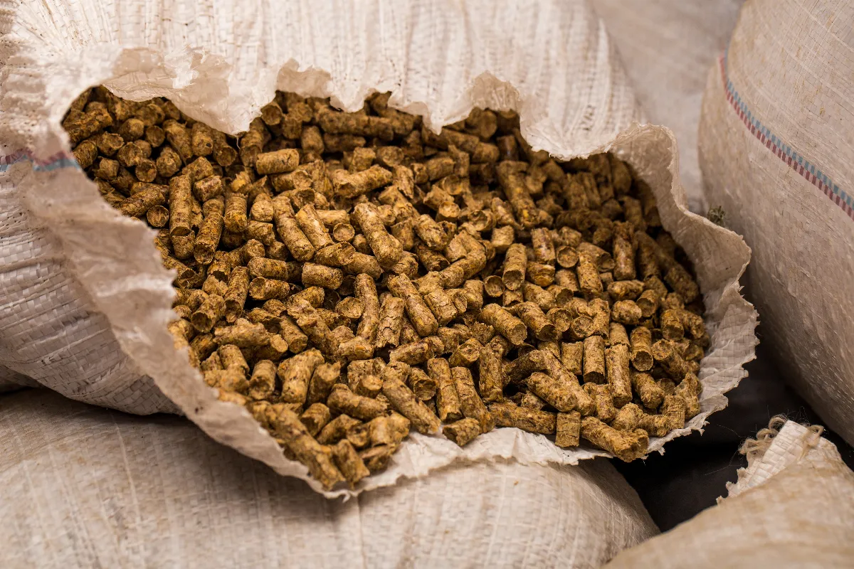 chaudiere-a-pellets-trois-elements-a-analyser-avant-dopter-pour-ce-type-de-chauffage-chez-vous