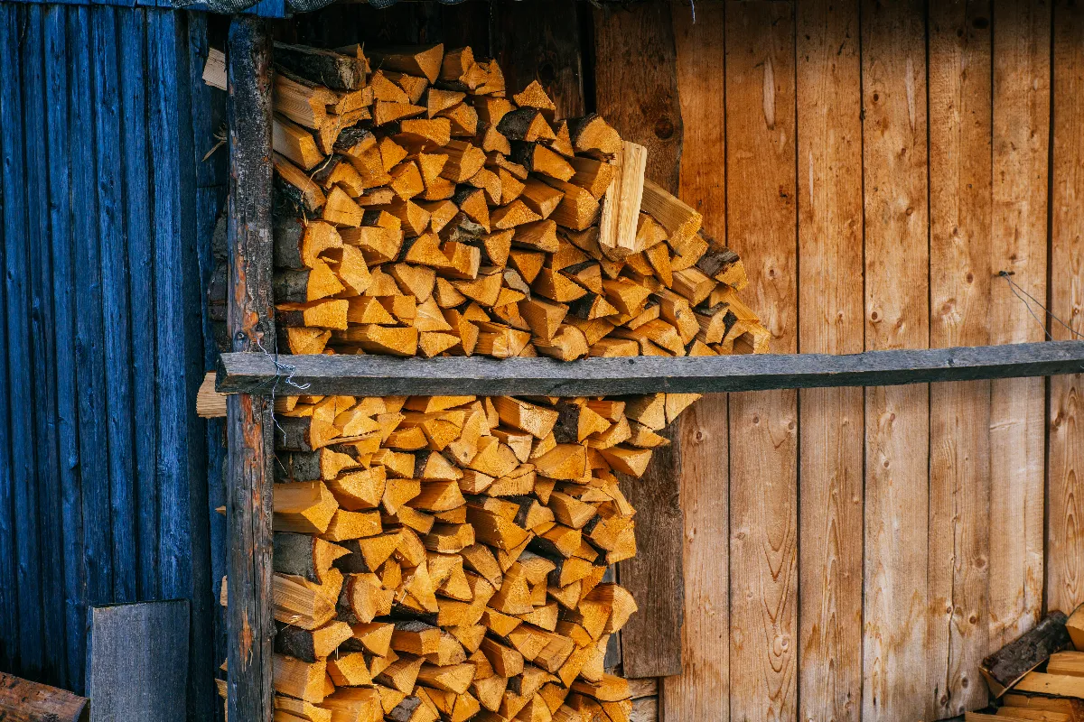 les-meilleurs-arbres-pour-faire-du-bois-de-chauffage-voici-les-6-meilleures-especes-pour-vous-chauffer