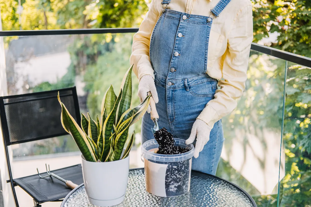 transformez-votre-jardin-avec-ces-10-idees-pas-cher-et-simples-a-mettre-en-place