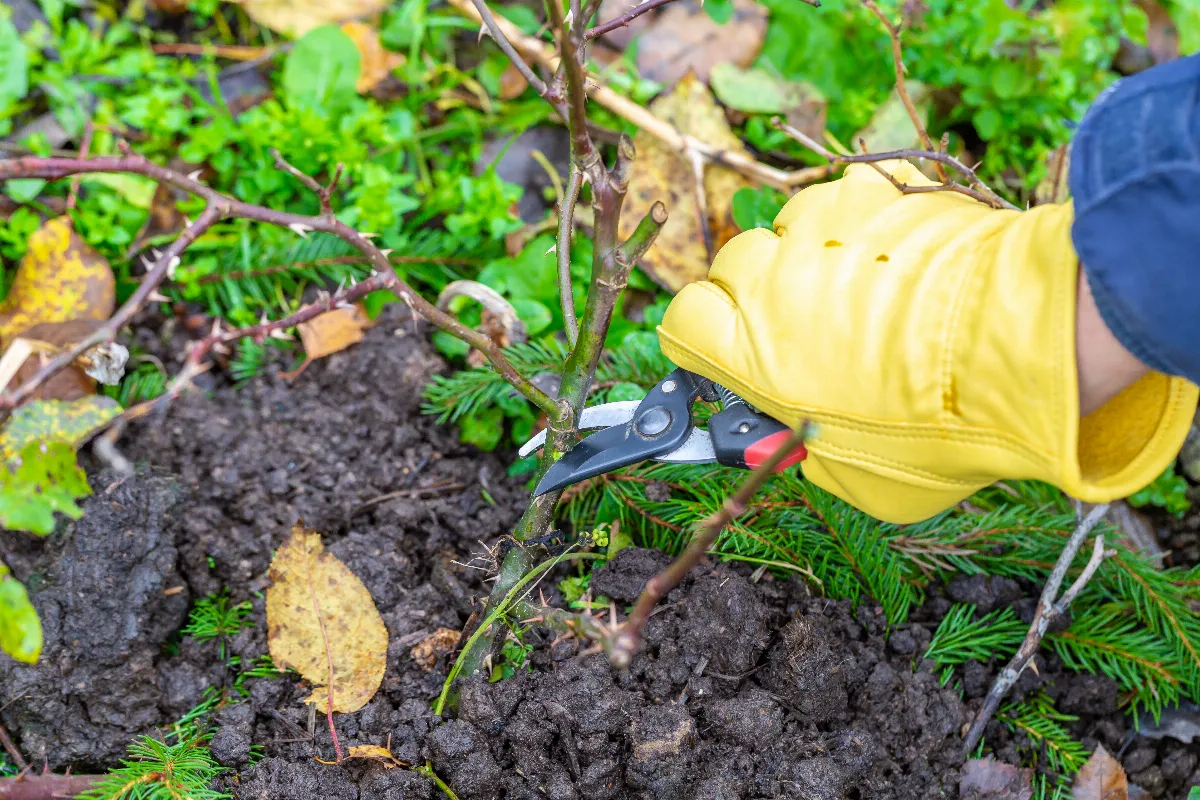 voici-les-7-astuces-a-suivre-pour-preparer-votre-jardin-pour-lautomne-et-la-baisse-des-temperatures