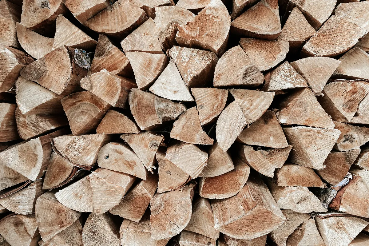 ces-4-types-de-bois-ne-doivent-surtout-pas-etre-utilises-pour-votre-cheminee-ou-votre-poele-voici-lesquels