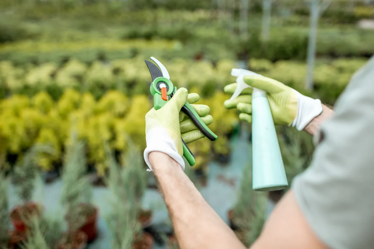 comment-enlever-facilement-la-rouille-sur-les-outils-de-jardinage-voici-les-meilleures-methodes