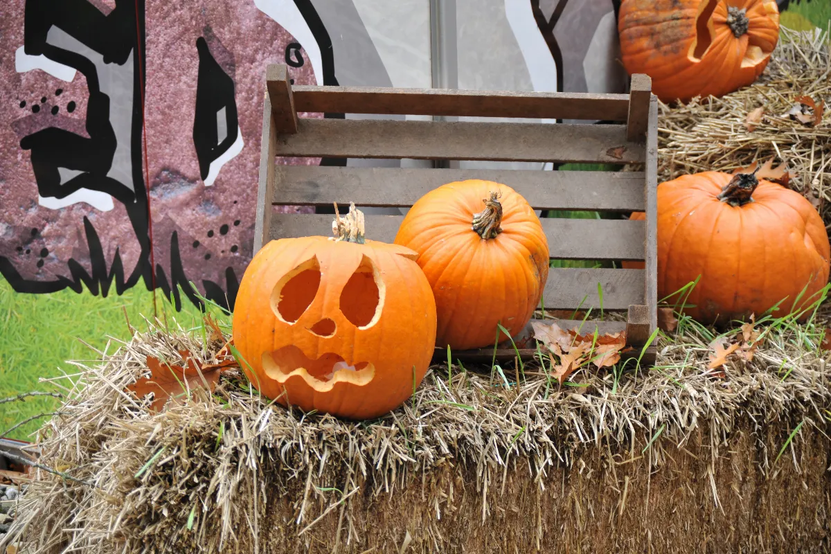 deco-halloween-au-jardin-7-idees-pour-transformer-votre-maison-pour-loccasion