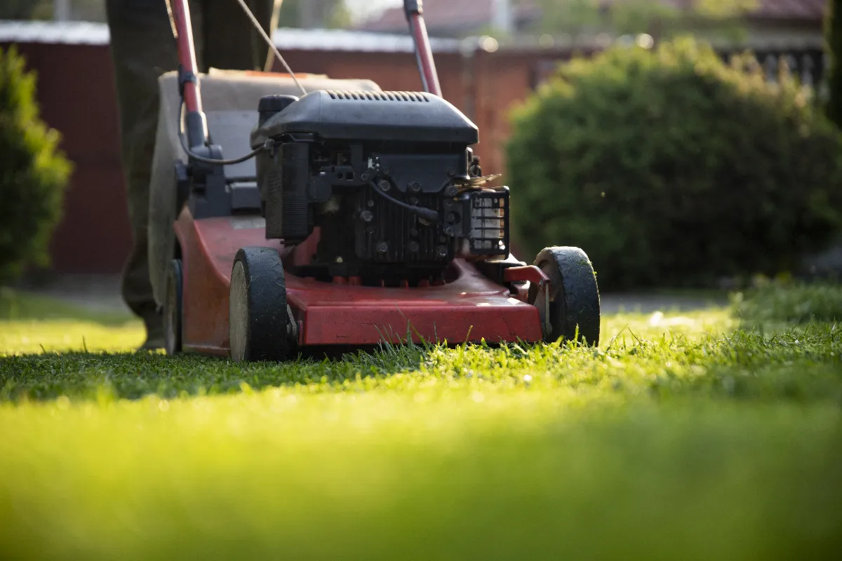 preparez-votre-pelouse-pour-lautomne-en-suivant-ces-6-astuces-simples-a-mettre-appliquer