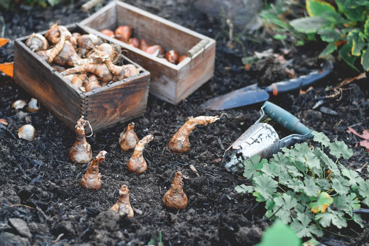 voici-les-6-gestes-a-faire-imperativement-au-jardin-avant-la-fin-du-mois-et-larrivee-du-froid